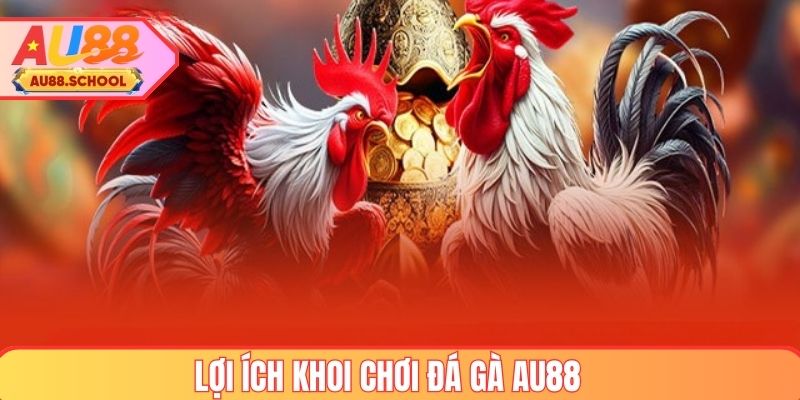 Lợi ích khi chơi đá gà tại AU88