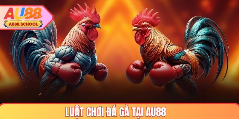Luật chơi đá gà tại AU88 cần nắm